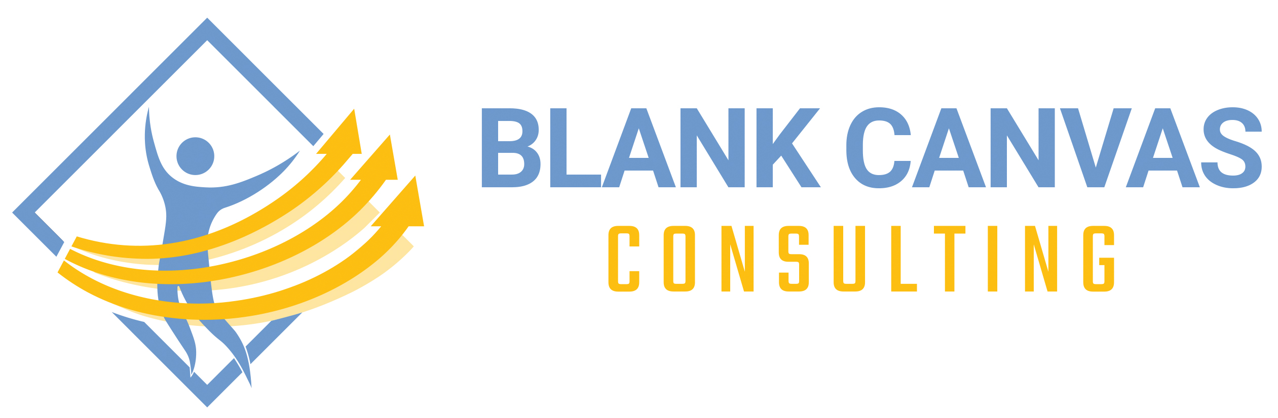 Leadership Development Blank Canvas Consulting